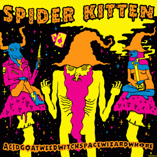 Spider Kitten : Acidgoatweedwitchbongspacewizardwhore